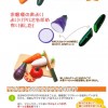 兒童 木製模擬 磁性 水果切切看 木盒裝