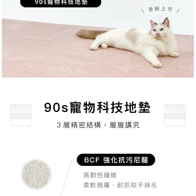  台灣品牌 90s 寵物科技地墊 10件裝 隔音減震防滑 地墊