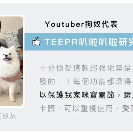  台灣品牌 90s 寵物科技地墊 10件裝 隔音減震防滑 地墊
