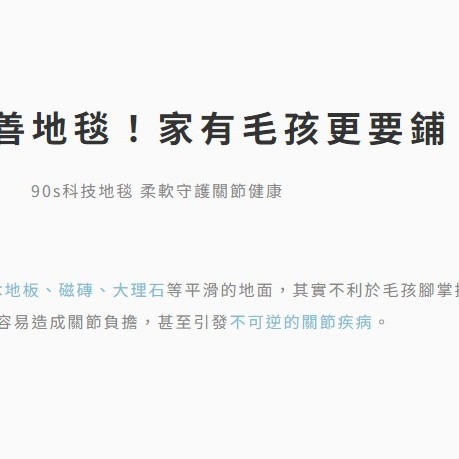  台灣品牌 90s 寵物科技地墊 10件裝 隔音減震防滑 地墊