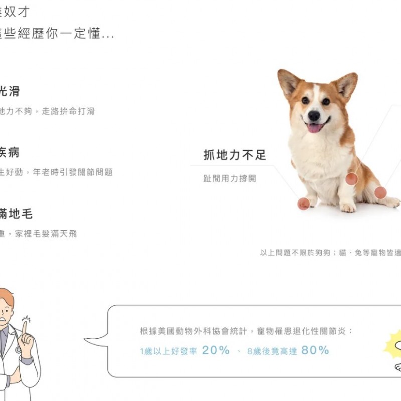  台灣品牌 90s 寵物科技地墊 10件裝 隔音減震防滑 地墊