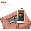 Aroma AG-10AM 便攜式結他音箱