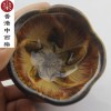 砂金釉陶瓷花形茶杯