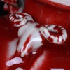 郎紅釉三陽開泰花瓶