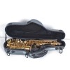 Alto SAXOPHONE 中音薩士風 玻璃纖維盒 Fiberglass Case