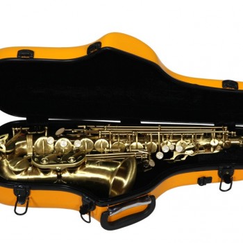 Alto SAXOPHONE 中音薩士風 玻璃纖維盒 Fiberglass Case
