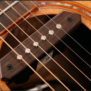 TYLANHUA A-810 結他 外置拾音器