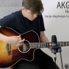 AKG C3000 Large-Diaphragm Condenser Microphone