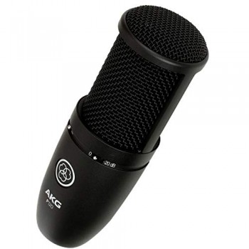 AKG P120 Large-Diaphragm Condenser Microphone