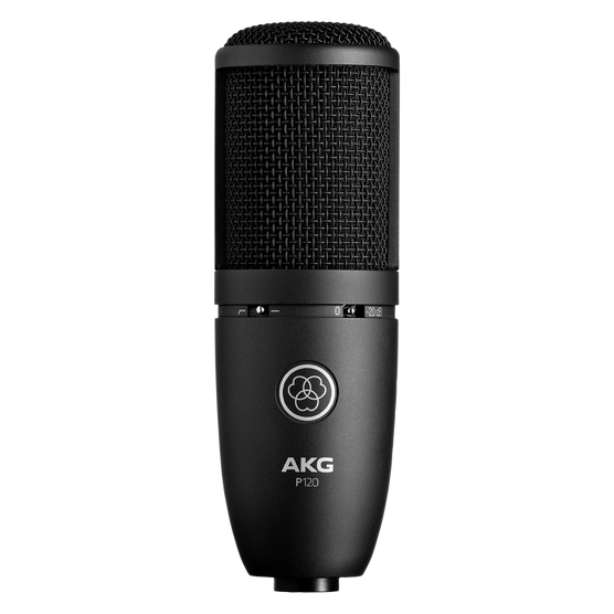 AKG P120 Large-Diaphragm Condenser Microphone