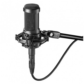 Audio Technica AT2050 Condenser Microphone