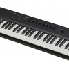 NI Komplete KONTROL A49 MIDI KEYBOARDS