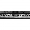 NI Komplete KONTROL A49 MIDI KEYBOARDS