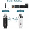AROMA ACR1 Wireless  Mic System 無線麥克風/無線樂器系統