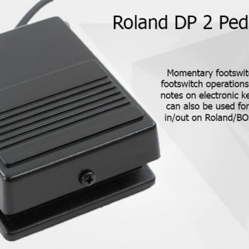 ROLAND DP-2 Damper Pedal 電子琴 延音踏板