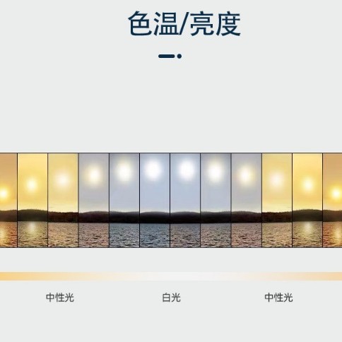 26cm 座檯 LED環形燈 直播手機夾支架 環形 補光燈 支架