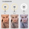 26cm 座檯 LED環形燈 直播手機夾支架 環形 補光燈 支架