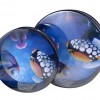 8吋 兒童 海洋 海浪鼓 ocean drum 海洋魚圖案