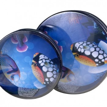 8吋 兒童 海洋 海浪鼓 ocean drum 海洋魚圖案