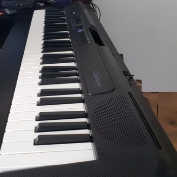 Casio Casiotone CT-S300