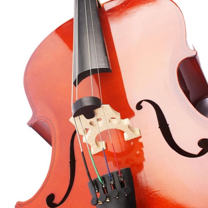 大提琴 練習弱音器 橡膠弱音器 CELLO Mute