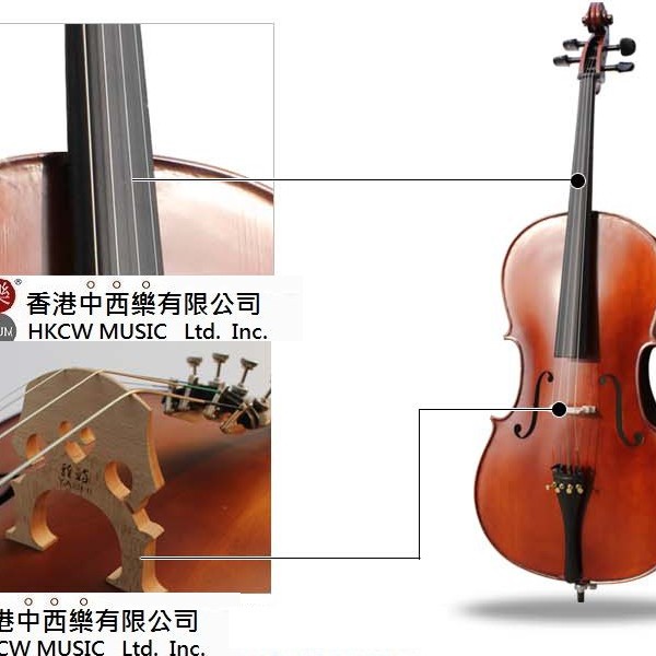 CS-C02 大提琴