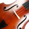 CS-DB01 低音大提琴  DOUBLE BASS (3/4  4/4)