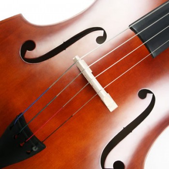 CS-DB01 低音大提琴 DOUBLE BASS  (1/8  1/4  1/2)