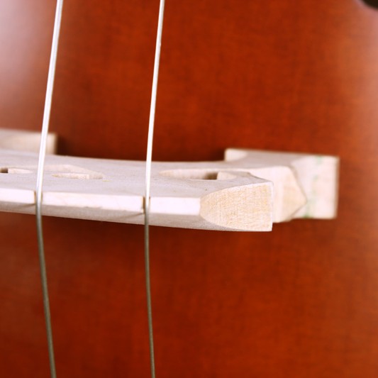 CS-DB01 低音大提琴  DOUBLE BASS (3/4  4/4)