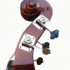 CS-DB01 低音大提琴  DOUBLE BASS (3/4  4/4)