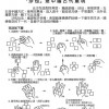 兒童 沙包 兒童豆袋 扁豆袋 5cm (單個裝)