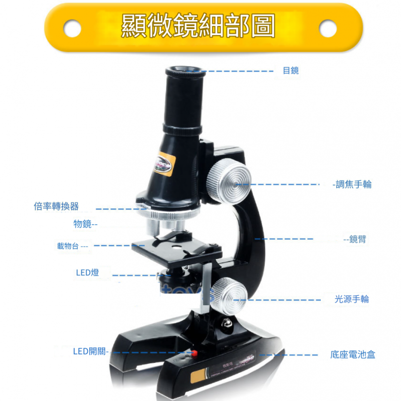 兒童 顯微鏡套裝 科學顯微鏡
