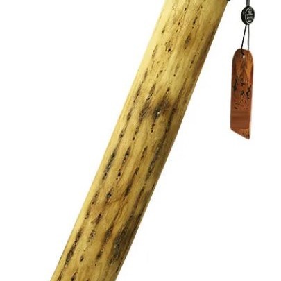VOZ DE CACTUS / Terre 南美雨棍 仙人掌雨聲棒 Rainstick (長25CM)