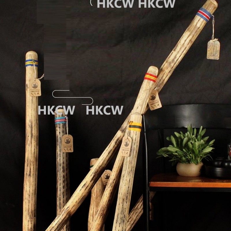 VOZ DE CACTUS / Terre 南美雨棍 仙人掌雨聲棒 Rainstick (長75CM)