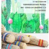VOZ DE CACTUS / Terre 南美雨棍 仙人掌雨聲棒 Rainstick (長75CM)