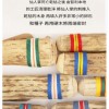 VOZ DE CACTUS / Terre 南美雨棍 仙人掌雨聲棒 Rainstick (長75CM)