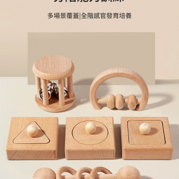 兒童櫸木 手抓手搖鈴 鈴鐺樂器 形狀配對板 (6件套裝)