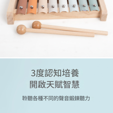 兒童 木製樂器套裝 木製音樂啟蒙 禮物木盒套裝