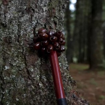 果殼手鈴 木柄 花豆寇 堅果殼 手搖鈴 pala 堅果手鈴