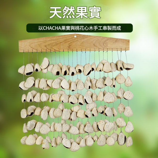 印尼 黑果種子排鈴音束 大串果殼鈴 果殼搖鈴 堅果 果殼排鈴