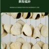 印尼 黑果種子排鈴音束 大串果殼鈴 果殼搖鈴 堅果 果殼排鈴