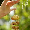 小雲朵 果殼掛鈴 夾竹桃 堅果 手鈴 果殼手搖鈴 小雲朵果殼包鈴
