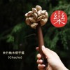 果殼手鈴 木柄 夾竹桃 果殼 手搖鈴 chacha 堅果手鈴