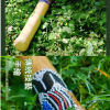 印尼 竹製彩繪 雨棍 彩繪竹雨聲棒 彩繪雨棍 Rainstick (長100CM)