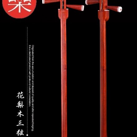 CS 紅花梨木 三弦琴 大三弦琴
