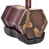 敦煌二胡 05A