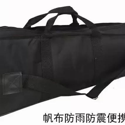 CS 17簧 細斗D調 笙 帶擴音管