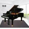 CS-AS 隔音地毯 加厚 減震 隔音墊 吸音地墊 50CMX50CM  (10mm厚) 