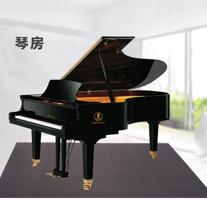 CS-AS 隔音地毯 加厚 減震 隔音墊 吸音地墊 50CMX50CM  (10mm厚) 