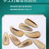古箏專用 黑花牛角 指甲 套裝 凹槽款
